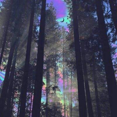 365在线手机app下载